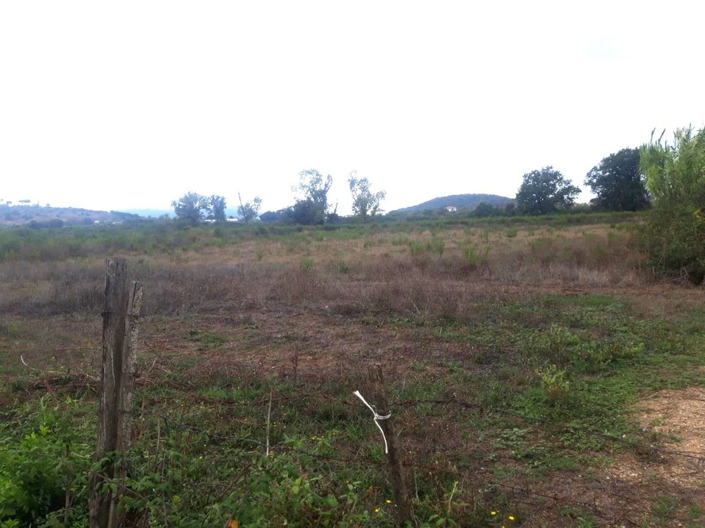 Terreni edificabili a Fondi LT LOTTO 41 00004 Terreni edificabili a Fondi LT LOTTO 41 00004