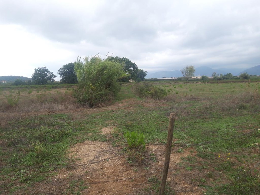 Terreni edificabili a Fondi LT LOTTO 41 00005 Terreni edificabili a Fondi LT LOTTO 41 00005