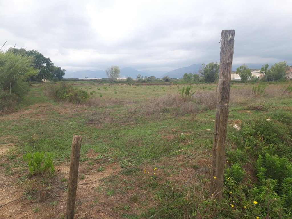 Terreni edificabili a Fondi LT LOTTO 41 00008 Terreni edificabili a Fondi LT LOTTO 41 00008