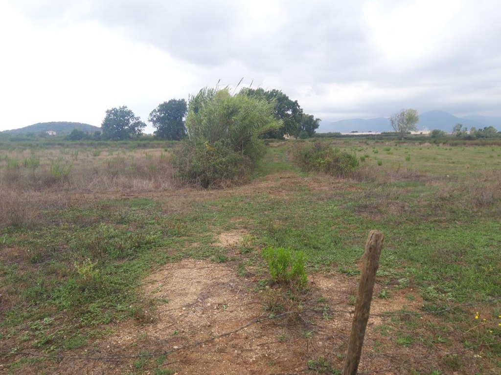 Terreni edificabili a Fondi LT LOTTO 41 00009 Terreni edificabili a Fondi LT LOTTO 41 00009