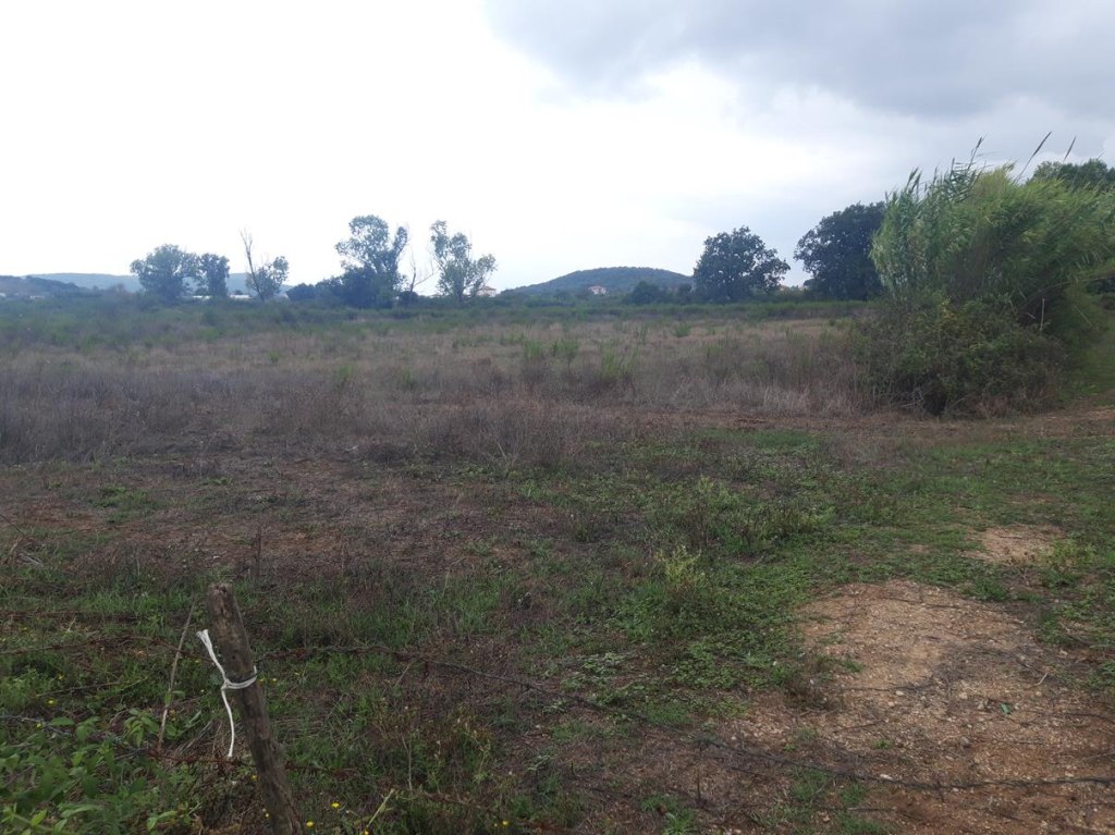 Terreni edificabili a Fondi LT LOTTO 41 00010 Terreni edificabili a Fondi LT LOTTO 41 00010