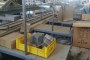 Linea Lavorazione Carciofi 4