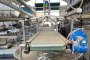 Linea Lavorazione Carciofi 2