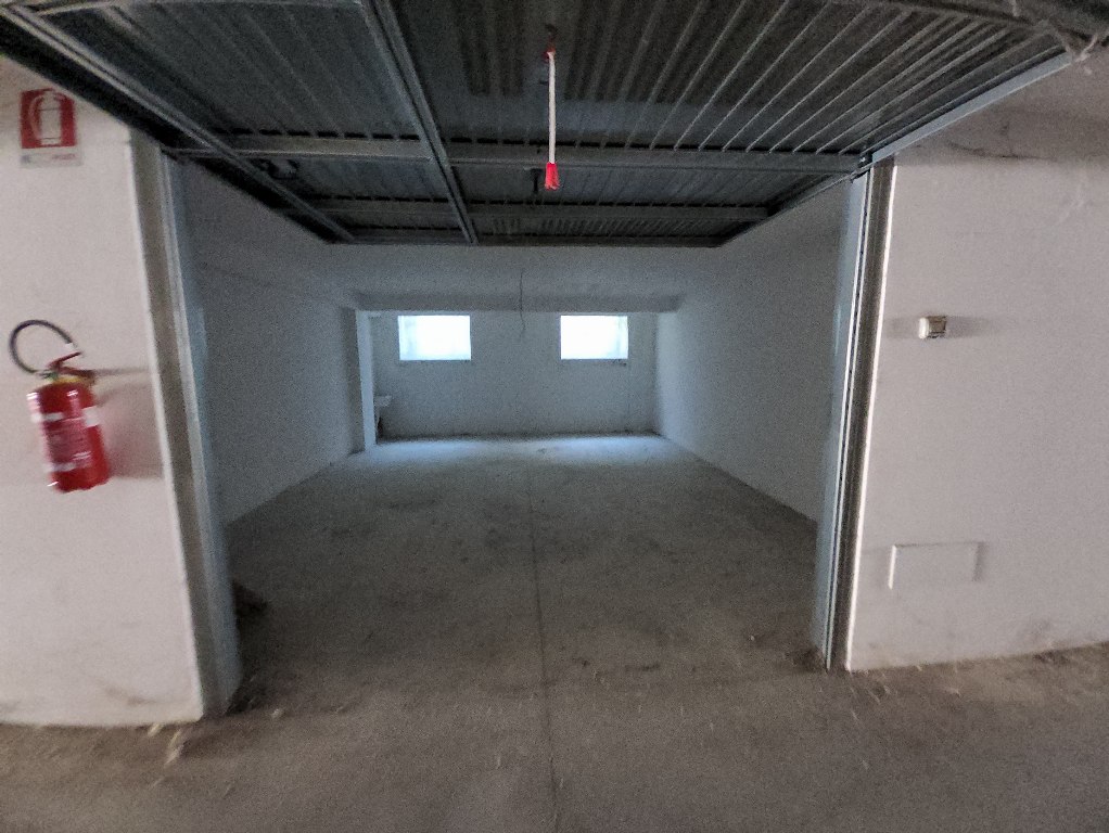 1690966870326 nFTOujan 1690966870326 nFTOujan