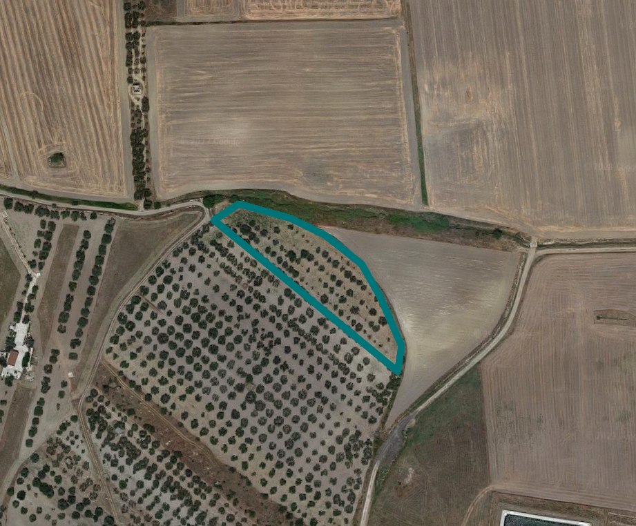 Terreni agricoli a Lucera FG LOTTO 6 00002 Terreni agricoli a Lucera FG LOTTO 6 00002