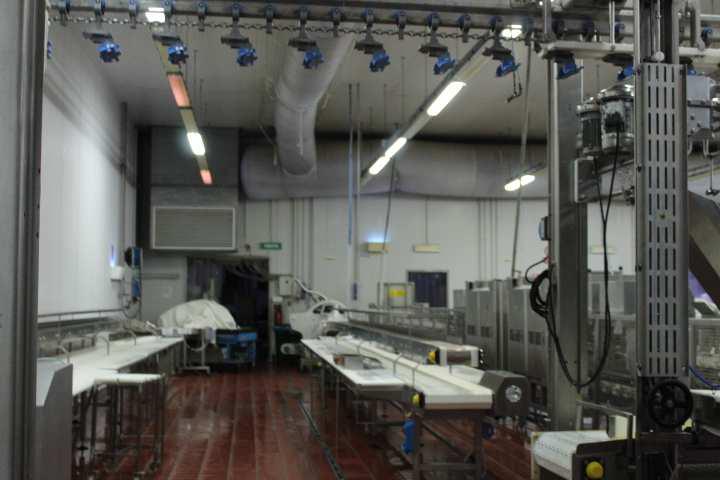 Opificio e capannone agricolo a Monselice PD 00038 Opificio e capannone agricolo a Monselice PD 00038