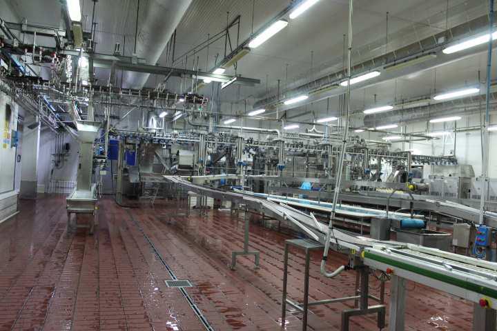 Opificio e capannone agricolo a Monselice PD 00039 Opificio e capannone agricolo a Monselice PD 00039
