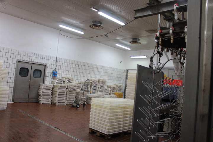 Opificio e capannone agricolo a Monselice PD 00040 Opificio e capannone agricolo a Monselice PD 00040