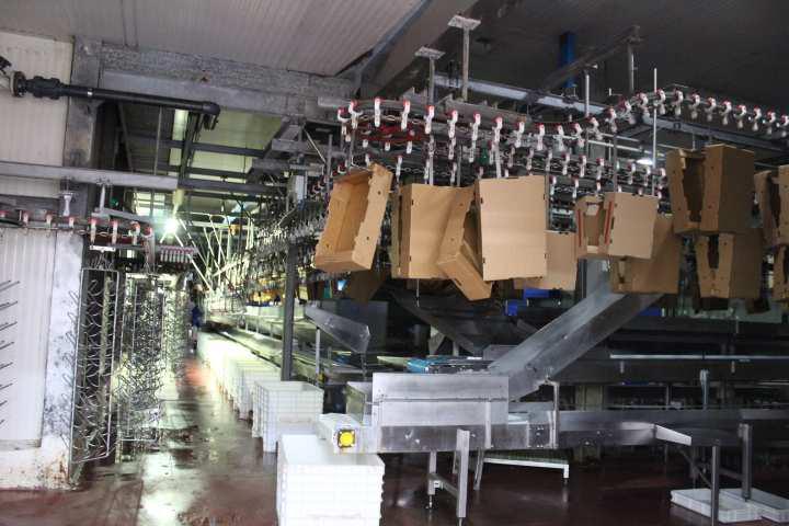 Opificio e capannone agricolo a Monselice PD 00041 Opificio e capannone agricolo a Monselice PD 00041