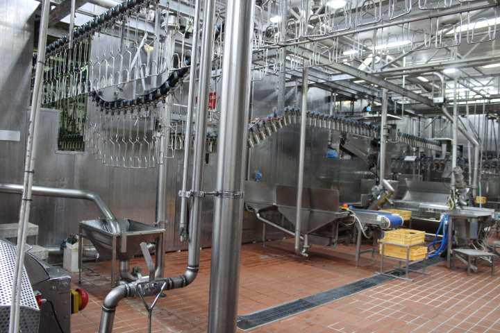 Opificio e capannone agricolo a Monselice PD 00043 Opificio e capannone agricolo a Monselice PD 00043