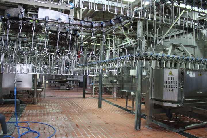 Opificio e capannone agricolo a Monselice PD 00045 Opificio e capannone agricolo a Monselice PD 00045