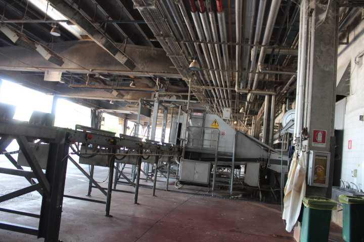 Opificio e capannone agricolo a Monselice PD 00048 Opificio e capannone agricolo a Monselice PD 00048