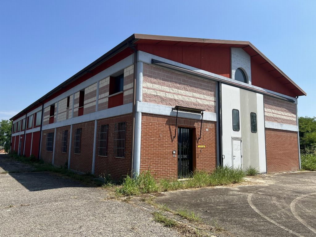 asta Capannone a Megliadino San Fidenzio PD 00003