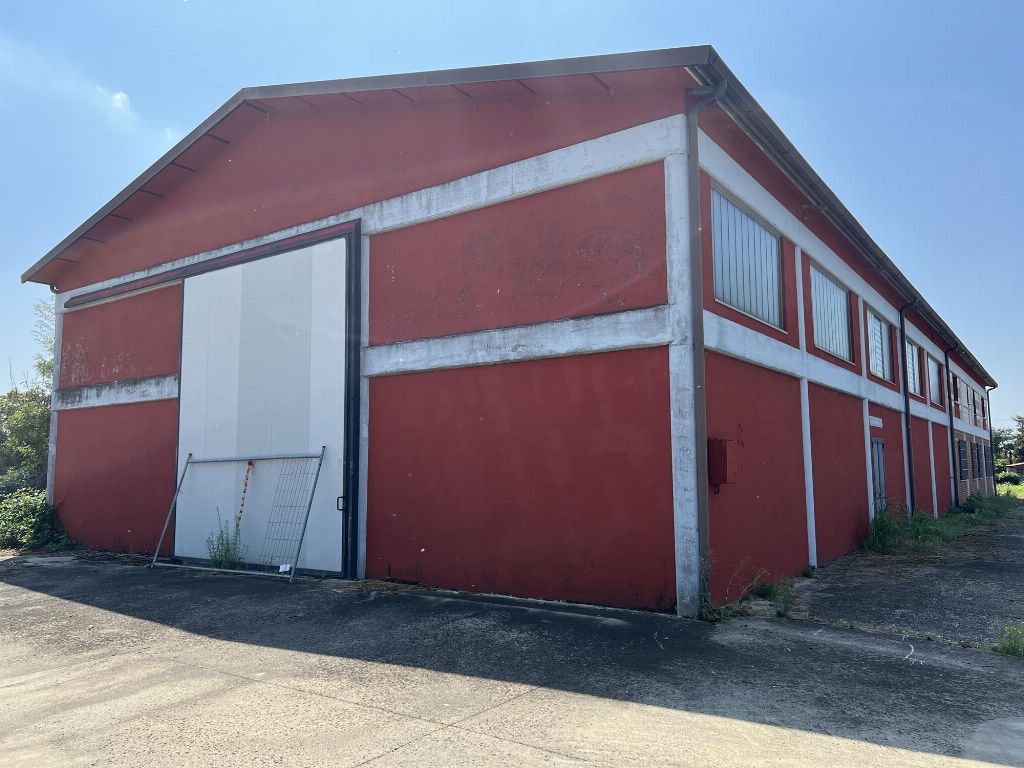 asta Capannone a Megliadino San Fidenzio PD 00005