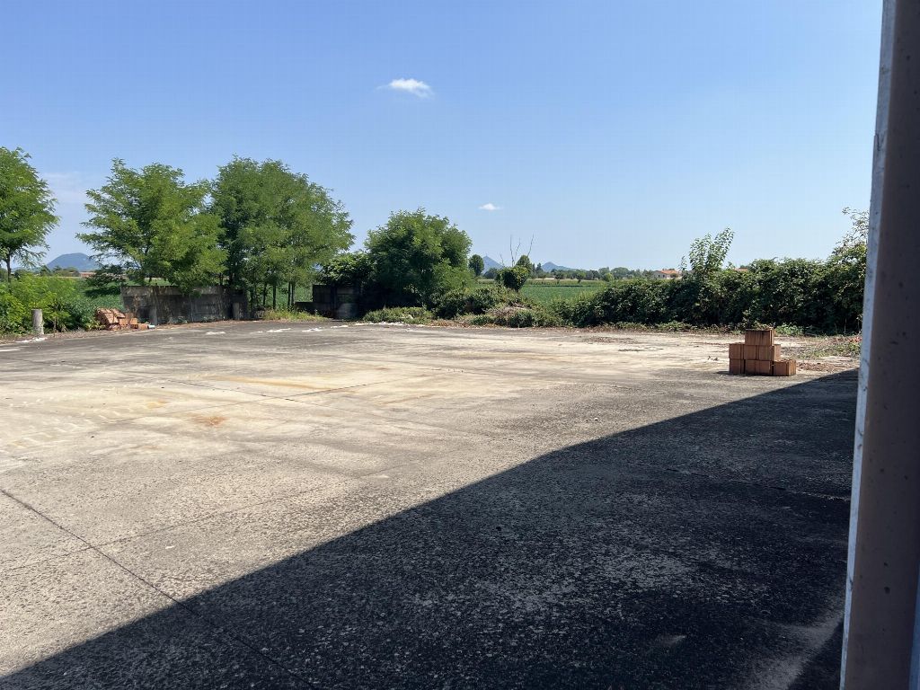 asta Capannone a Megliadino San Fidenzio PD 00006