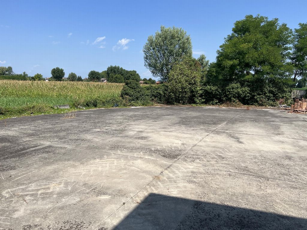 asta Capannone a Megliadino San Fidenzio PD 00007