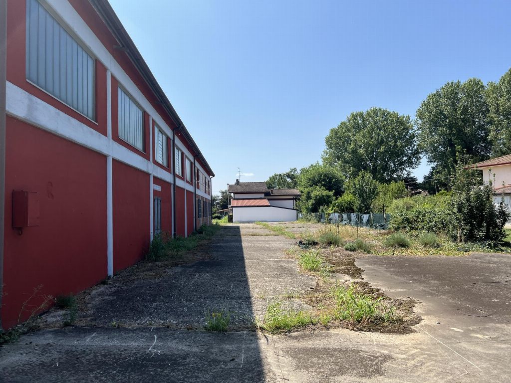 asta Capannone a Megliadino San Fidenzio PD 00008