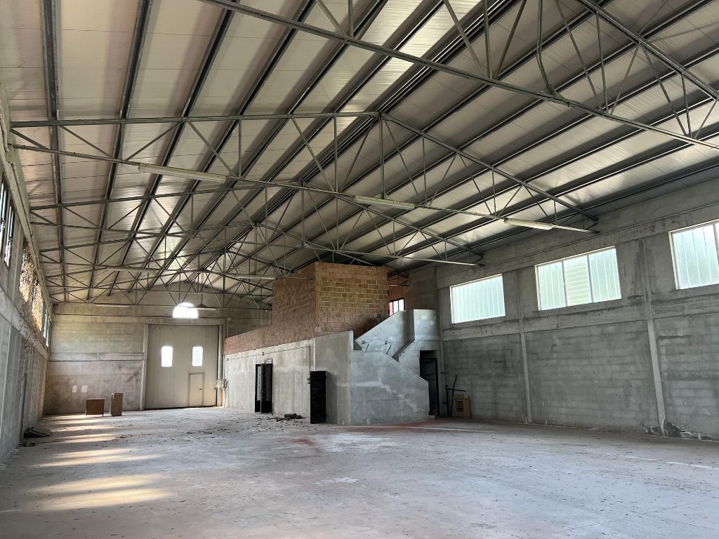 asta Capannone a Megliadino San Fidenzio PD 00010