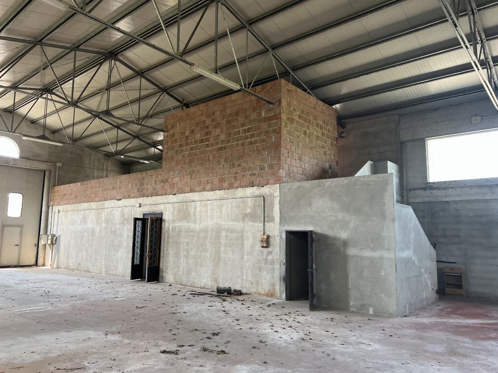 asta Capannone a Megliadino San Fidenzio PD 00011