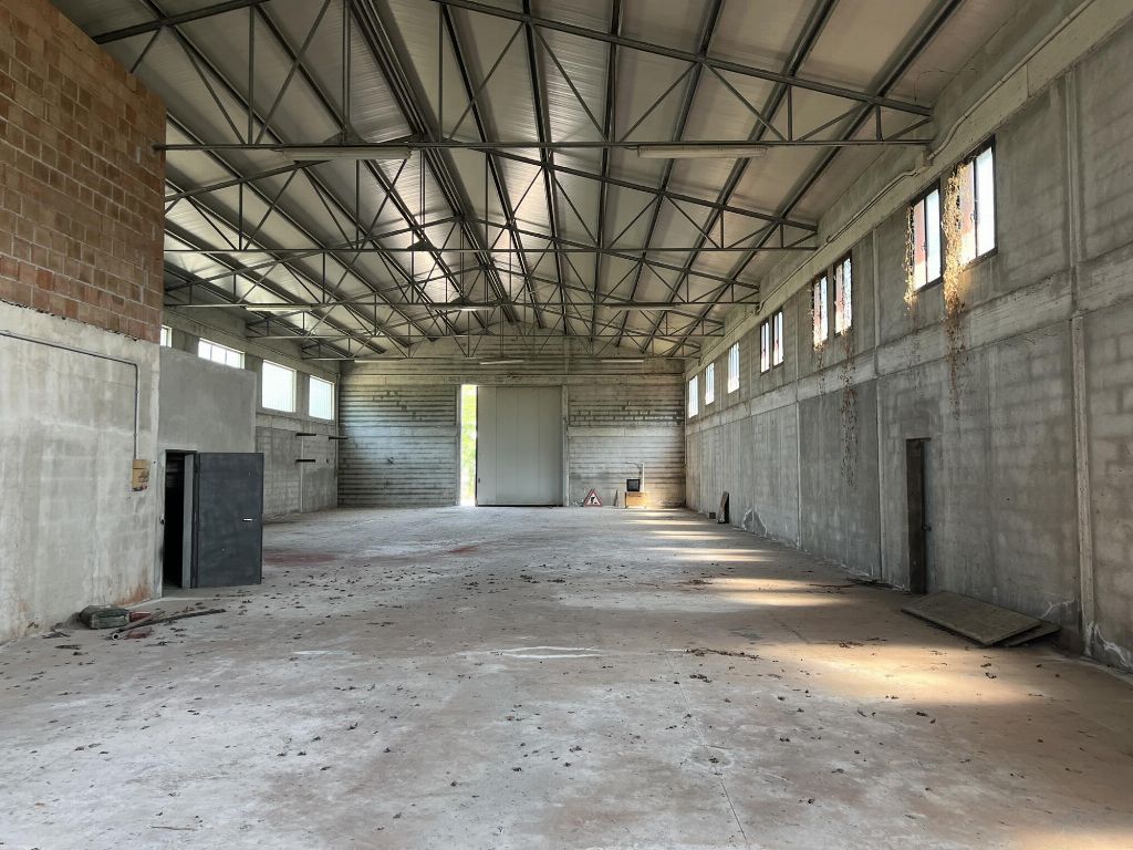 asta Capannone a Megliadino San Fidenzio PD 00012