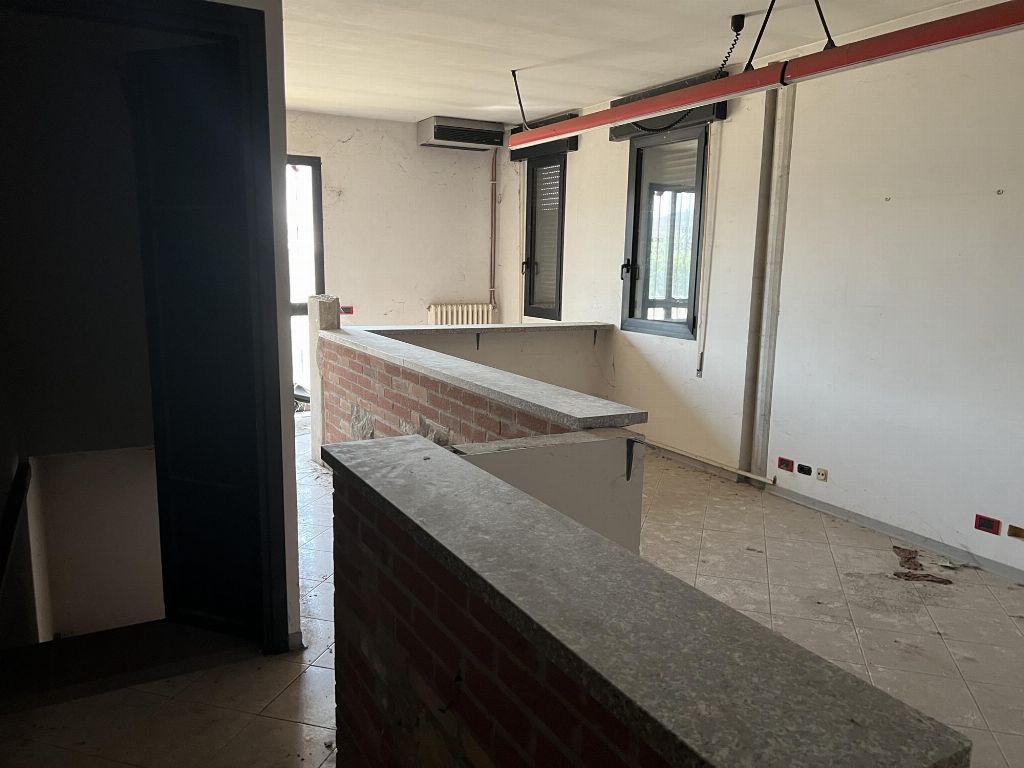 asta Capannone a Megliadino San Fidenzio PD 00015