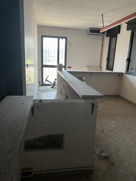 asta Capannone a Megliadino San Fidenzio PD 00016