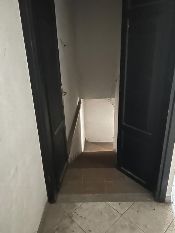 asta Capannone a Megliadino San Fidenzio PD 00017