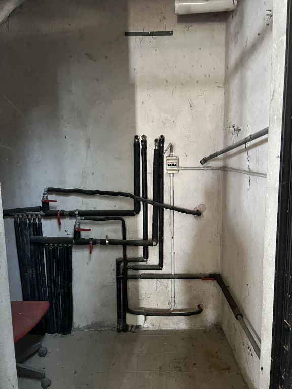 asta Capannone a Megliadino San Fidenzio PD 00018