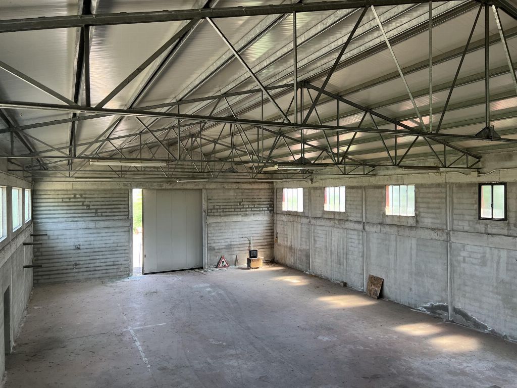 asta Capannone a Megliadino San Fidenzio PD 00021