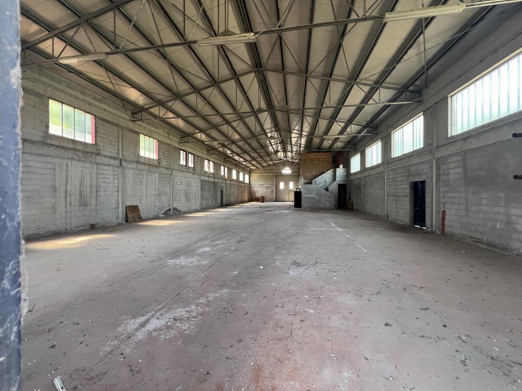 asta Capannone a Megliadino San Fidenzio PD 00022