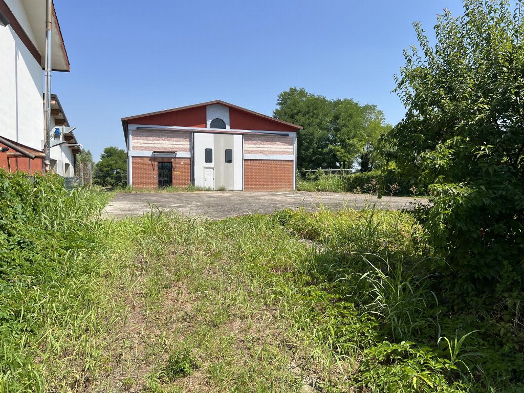 asta Capannone a Megliadino San Fidenzio PD 00024