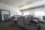 N. 31 Scaffalature Metalliche 4
