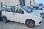 FIAT Panda 6