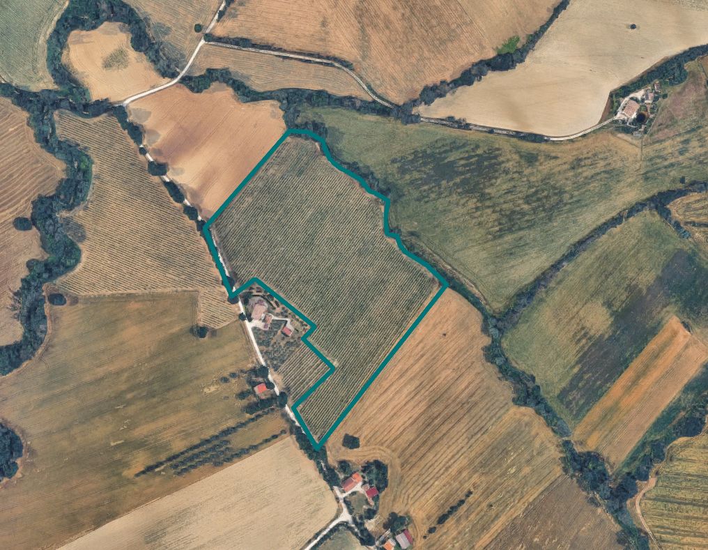 asta Terreno Agricolo a Montecarotto AN 00003 asta Terreno Agricolo a Montecarotto AN 00003
