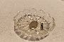 Piatto in cristallo 2