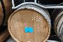 Vino Rosso di Montalcino DOC 2024 Beatesca - sfuso in botte 3