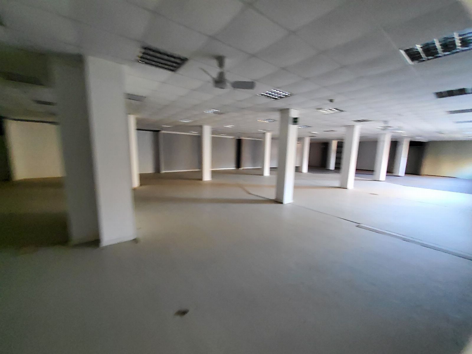 asta Immobili Commerciali a Orte VT 00005 asta Immobili Commerciali a Orte VT 00005