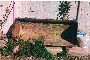 Macchina operatrice semovente Bobcat 3